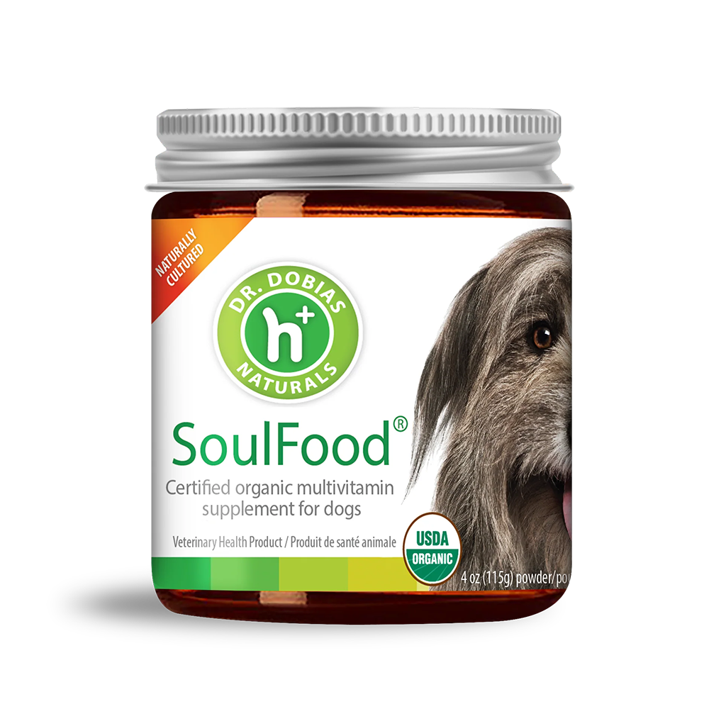 Dr. Dobias Soul Food